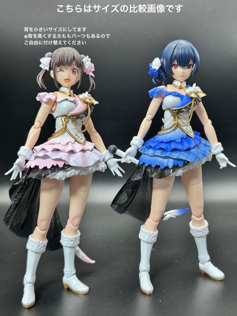30MS 園田智代子 ビヨンドザブルースカイ　塗装済み完成品　アイマス