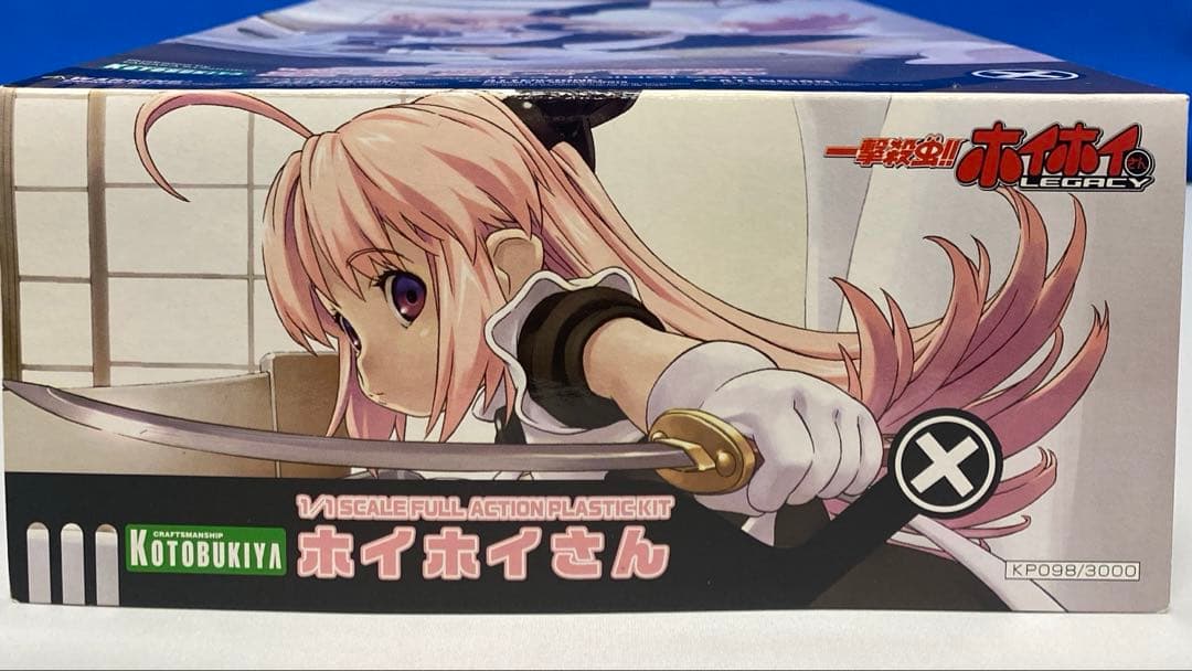 【プラモデル】一撃殺虫!!ホイホイさん ホイホイさん&コンバットさん
