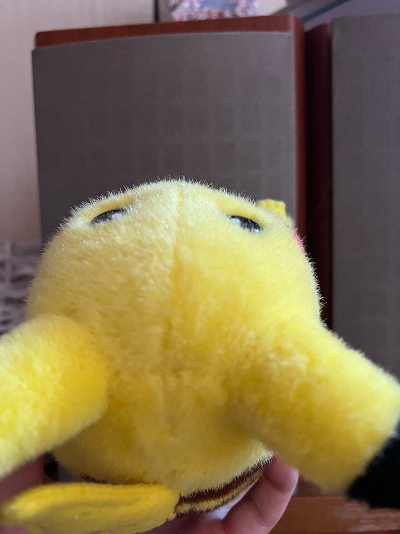 ハルさん兼用