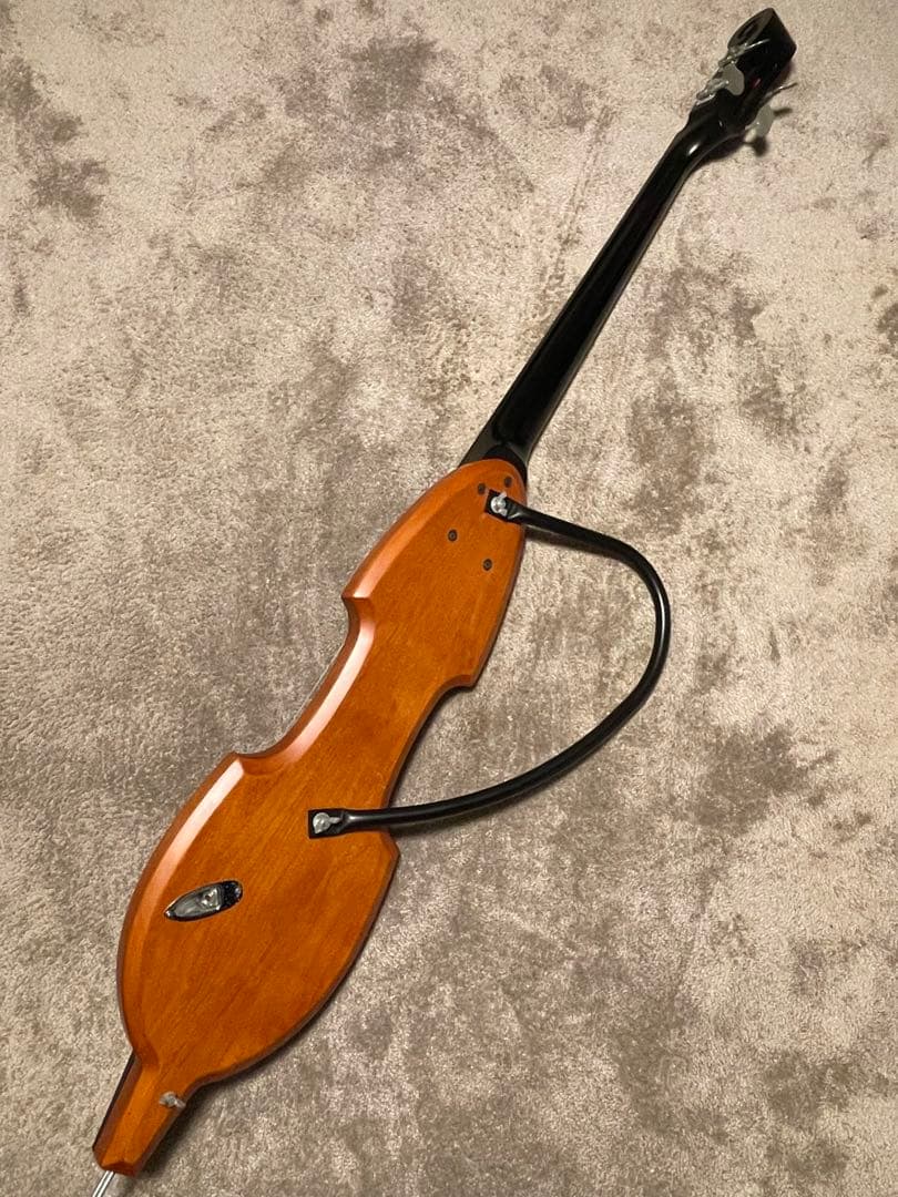 Aria SWB-02 Fishman ピックアップ搭載 ケース付き