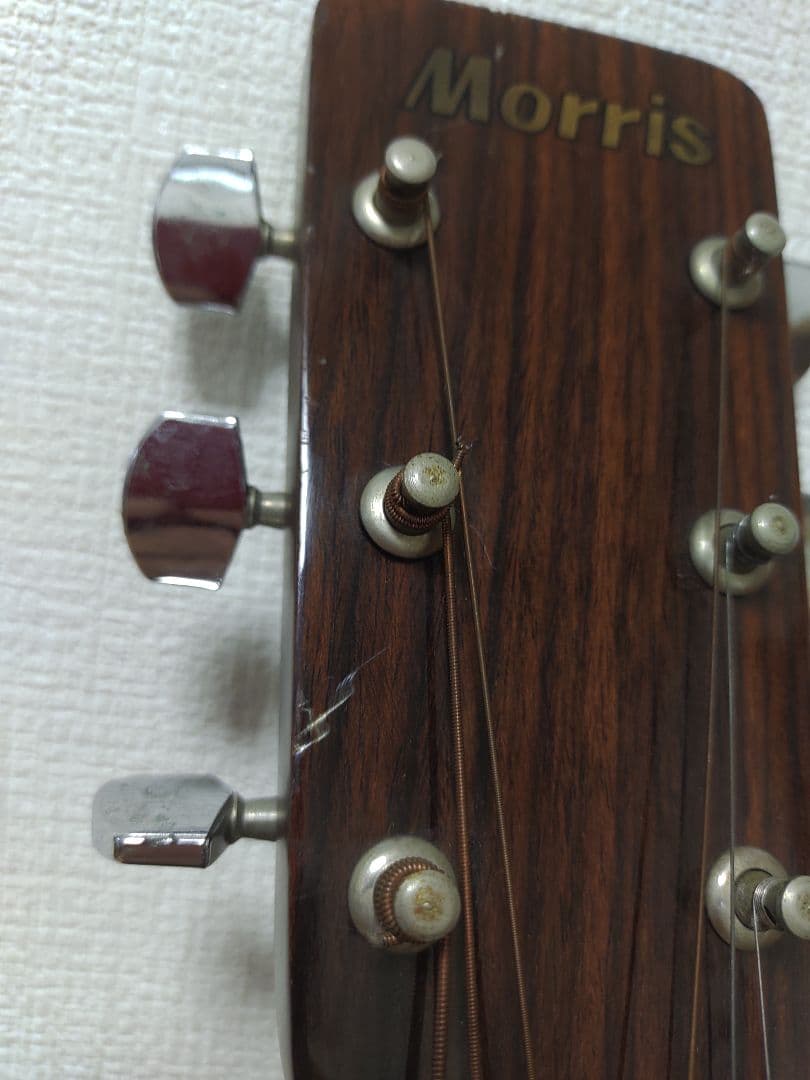 Morris MD502 アコースティックギター