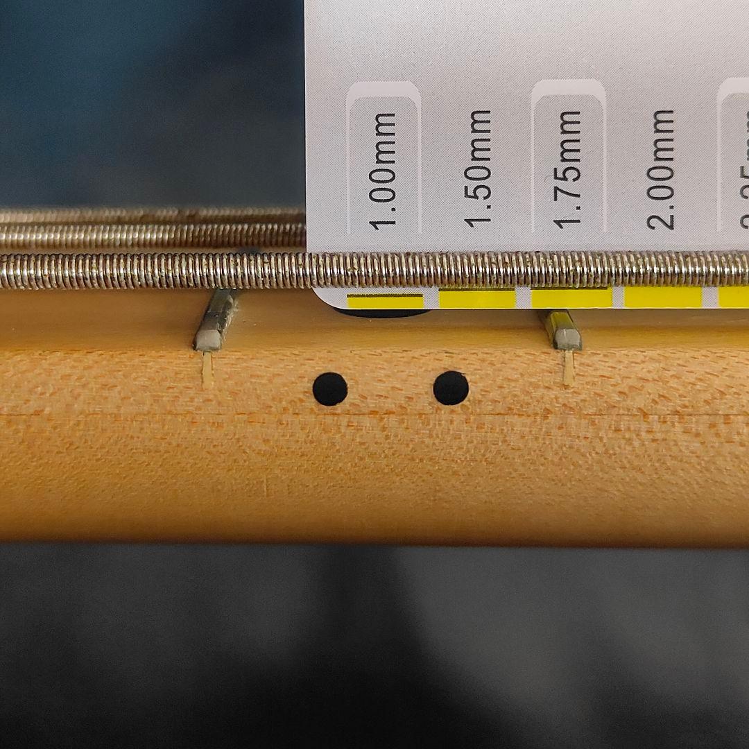 ベース LAKLAND SK-4DX Blue Translucent