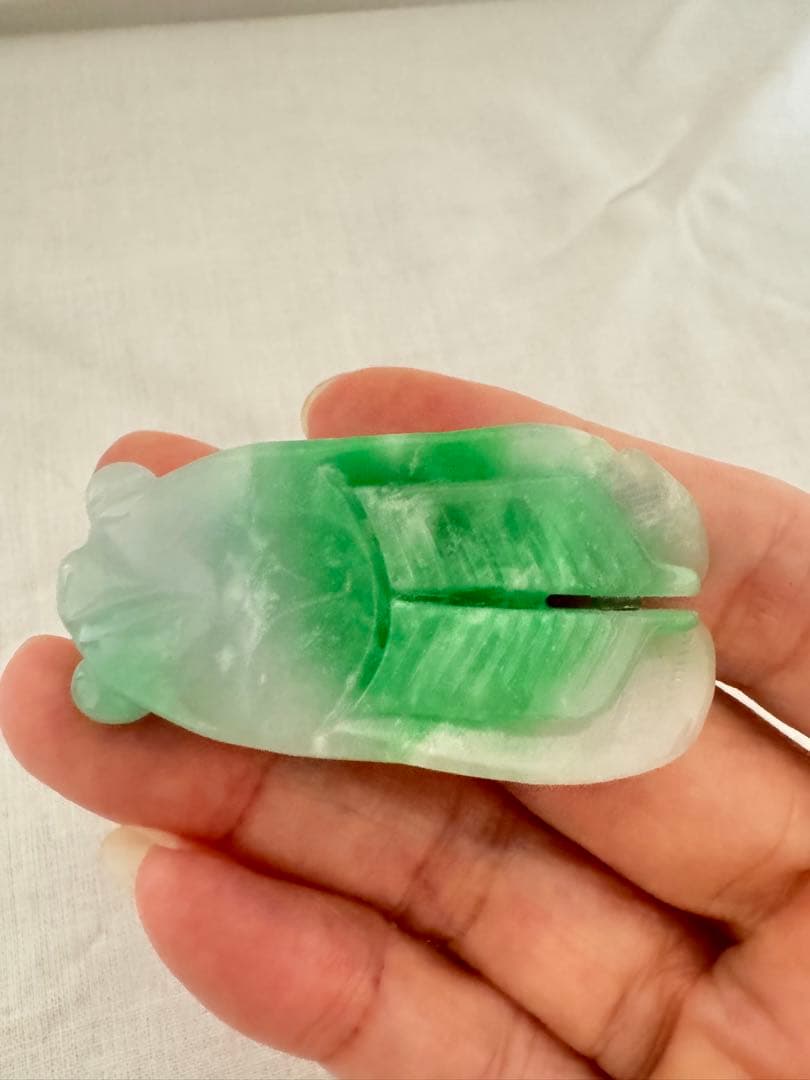 翡翠トップ 蝉