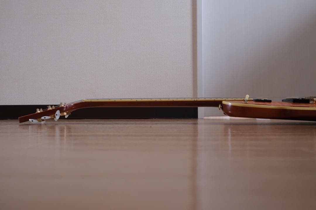 Aria Pro Ⅱ PE-Anniversary 限定モデル ハードケース付属