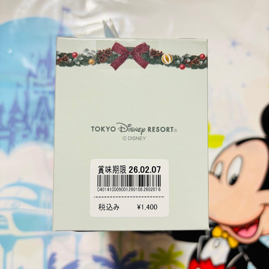 ディズニー⭐️リルリンリン 2025 ディズニークリスマス お菓子セット 10点