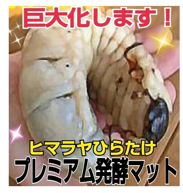 極上！カブトムシ幼虫の餌・産卵に！プレミアム3次発酵マット【たっぷり6袋セット】