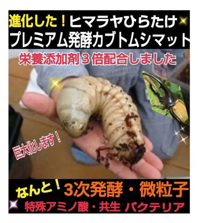【2ケースセット】20Lボックス☆プレミアム発酵マット入り☆幼虫を入れるだけ！