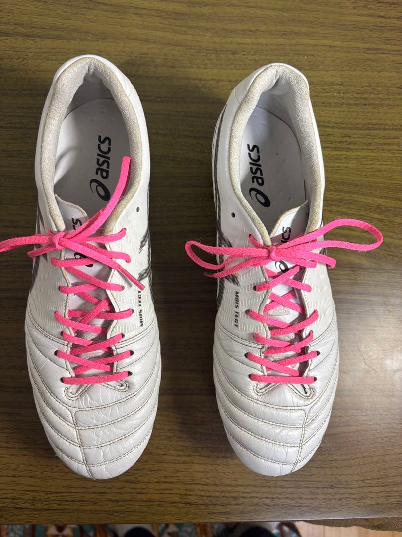 asics DS LIGHT X-FLY PRO 取り替え式　27.5
