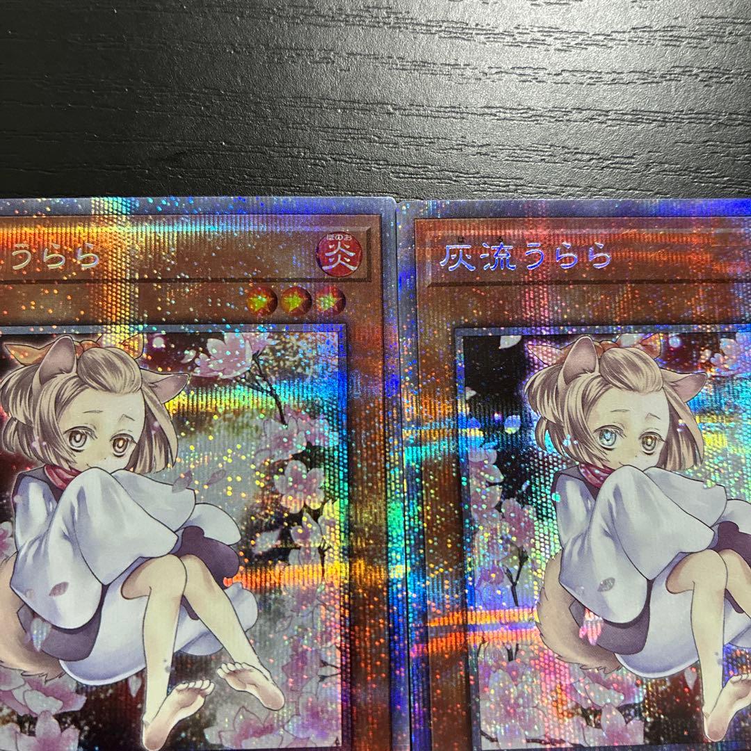 遊戯王　灰流うらら　絵違い　プリズマティックシークレットレア2枚