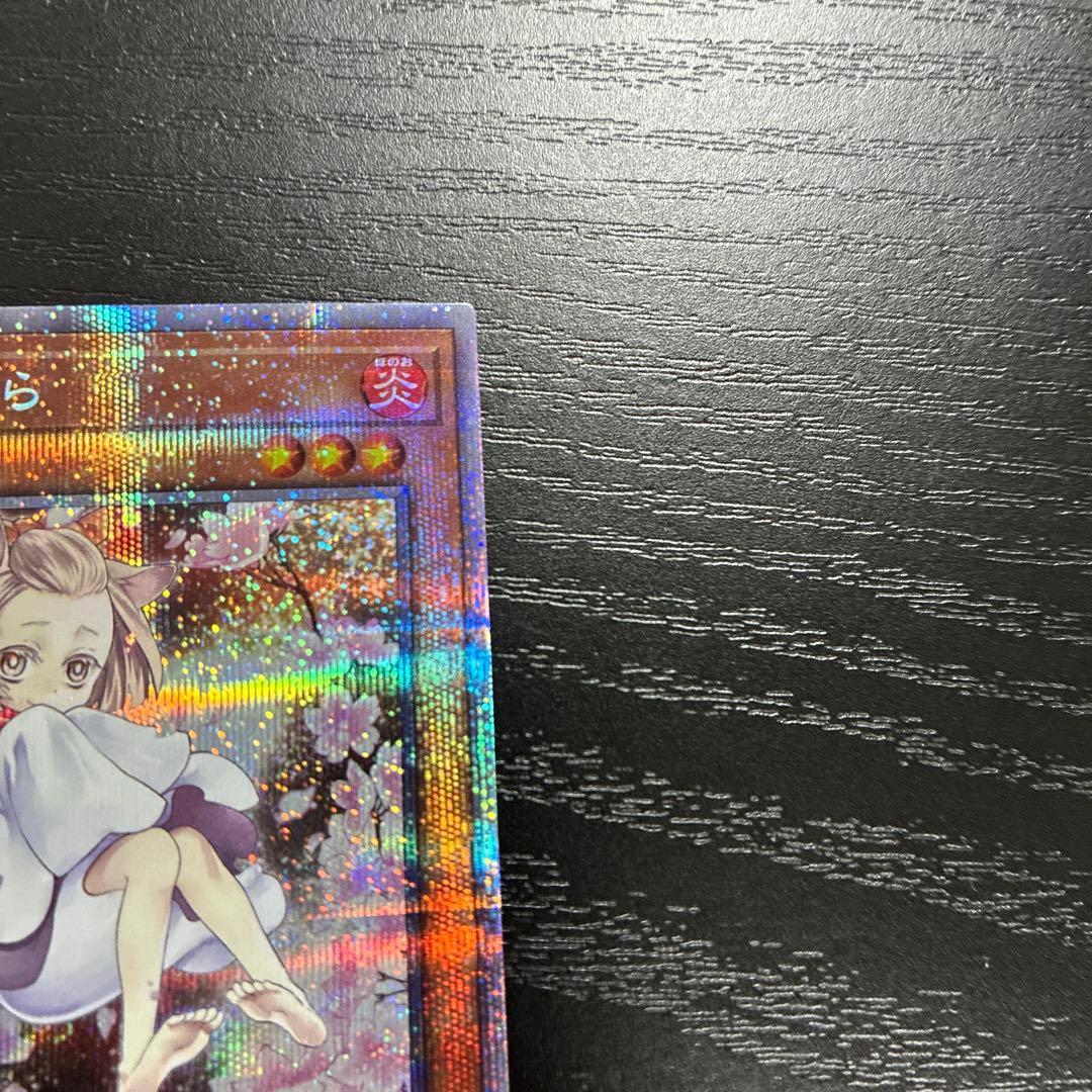 遊戯王　灰流うらら　絵違い　プリズマティックシークレットレア2枚