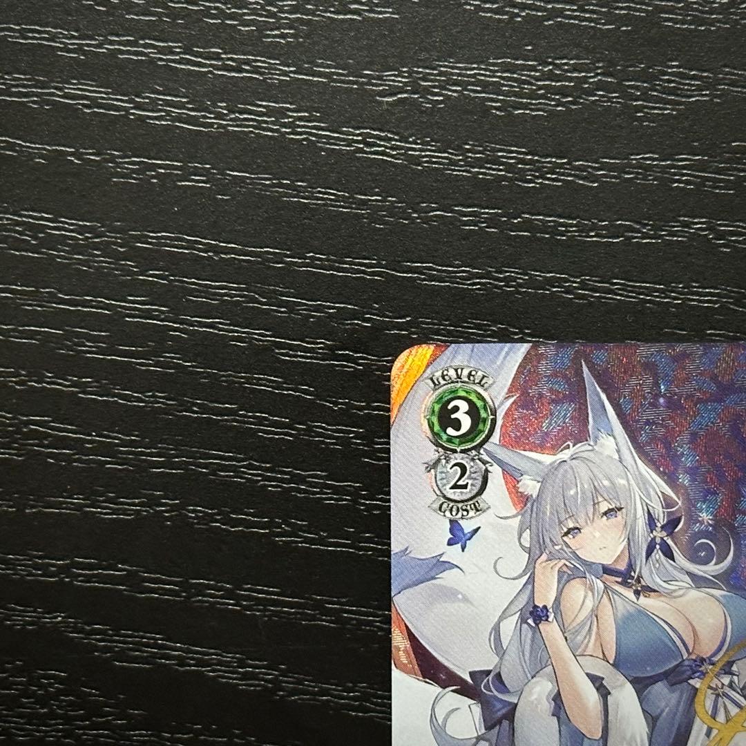 WS 信濃 SP サイン アズレン