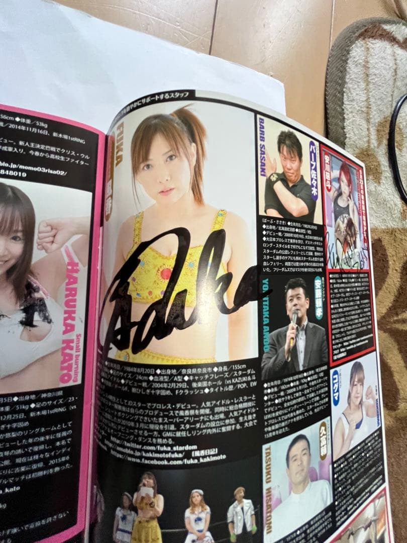 スターダム観戦ガイドブック 紫雷イオ、岩谷麻優、サンダーロックカード付き