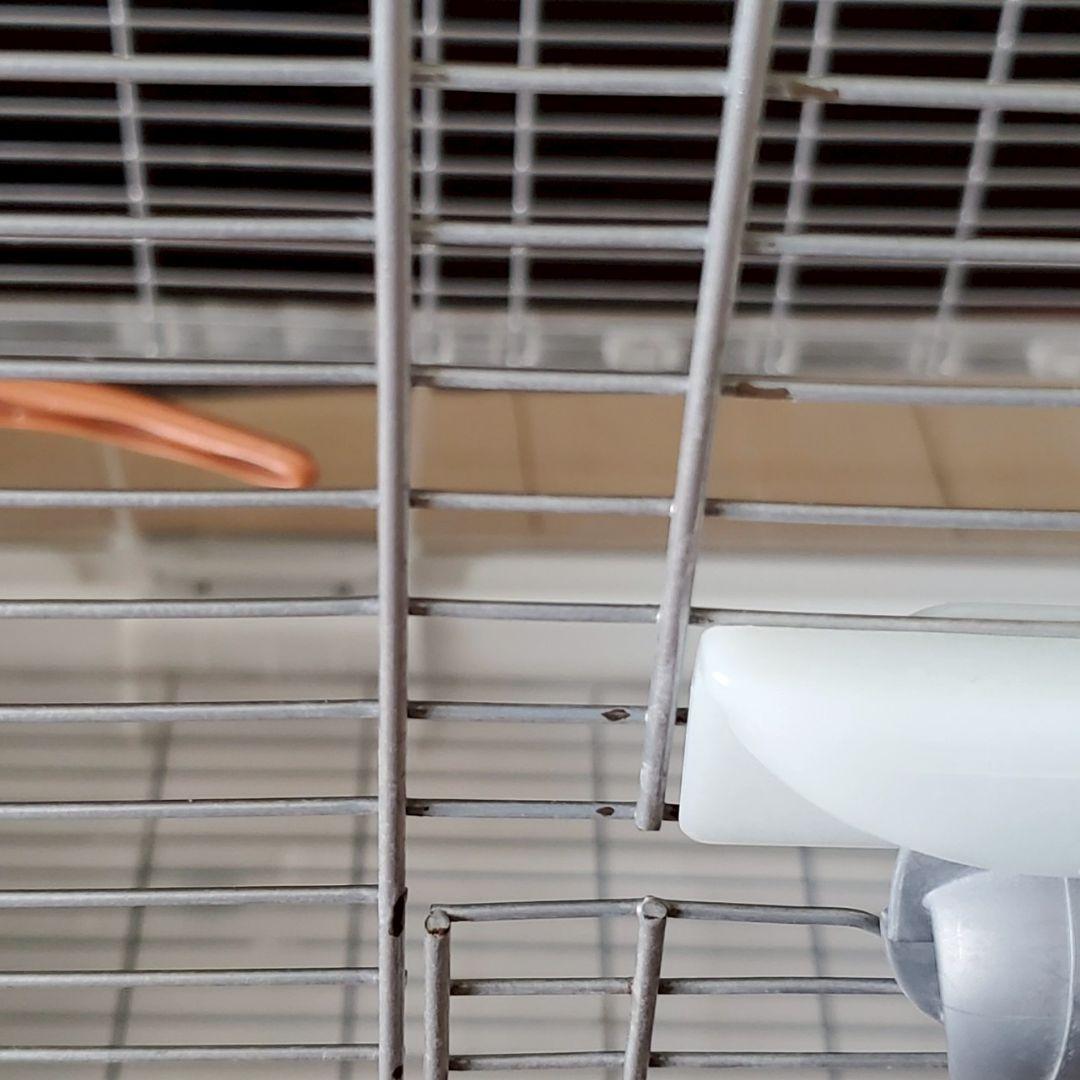 visionの 鳥かご