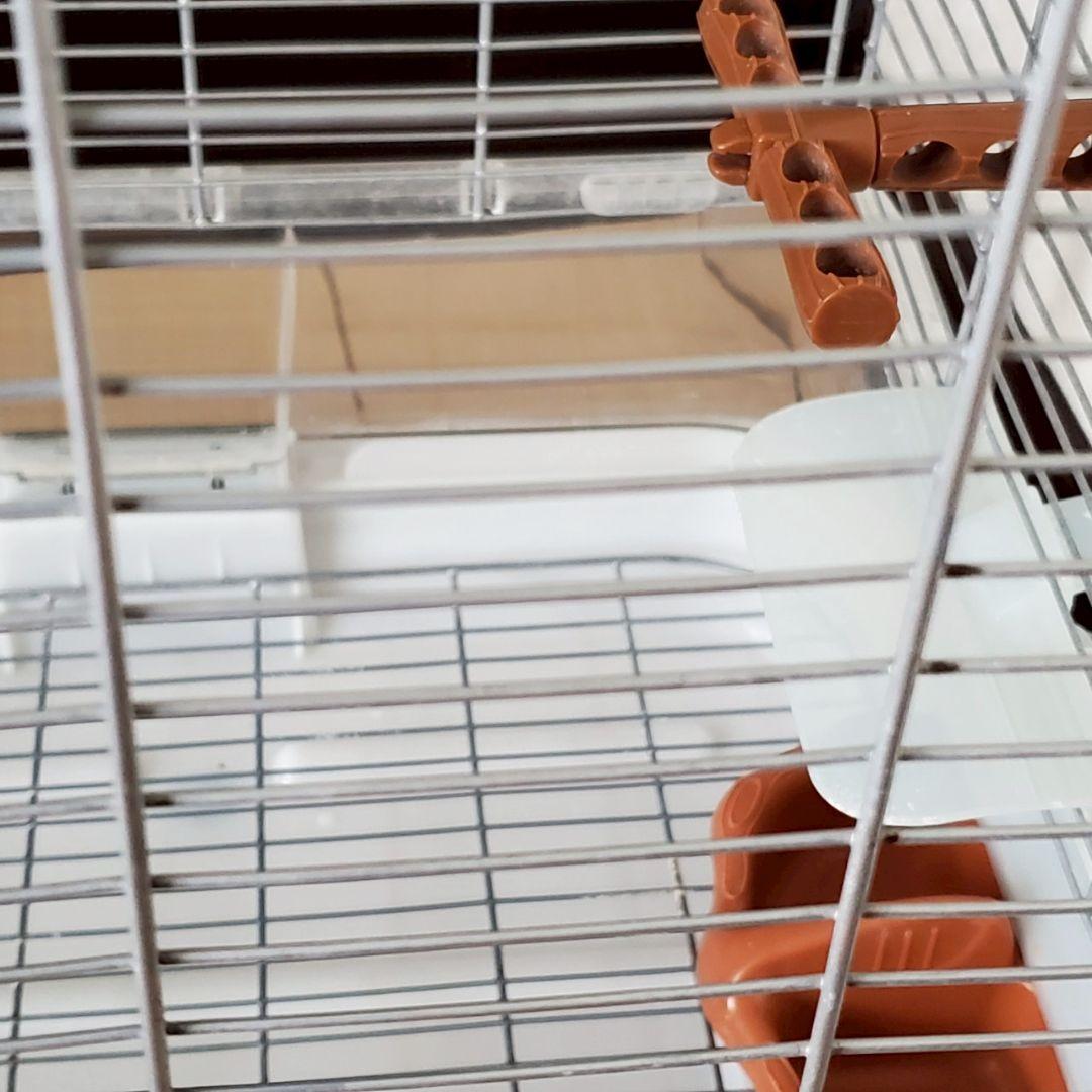 visionの 鳥かご