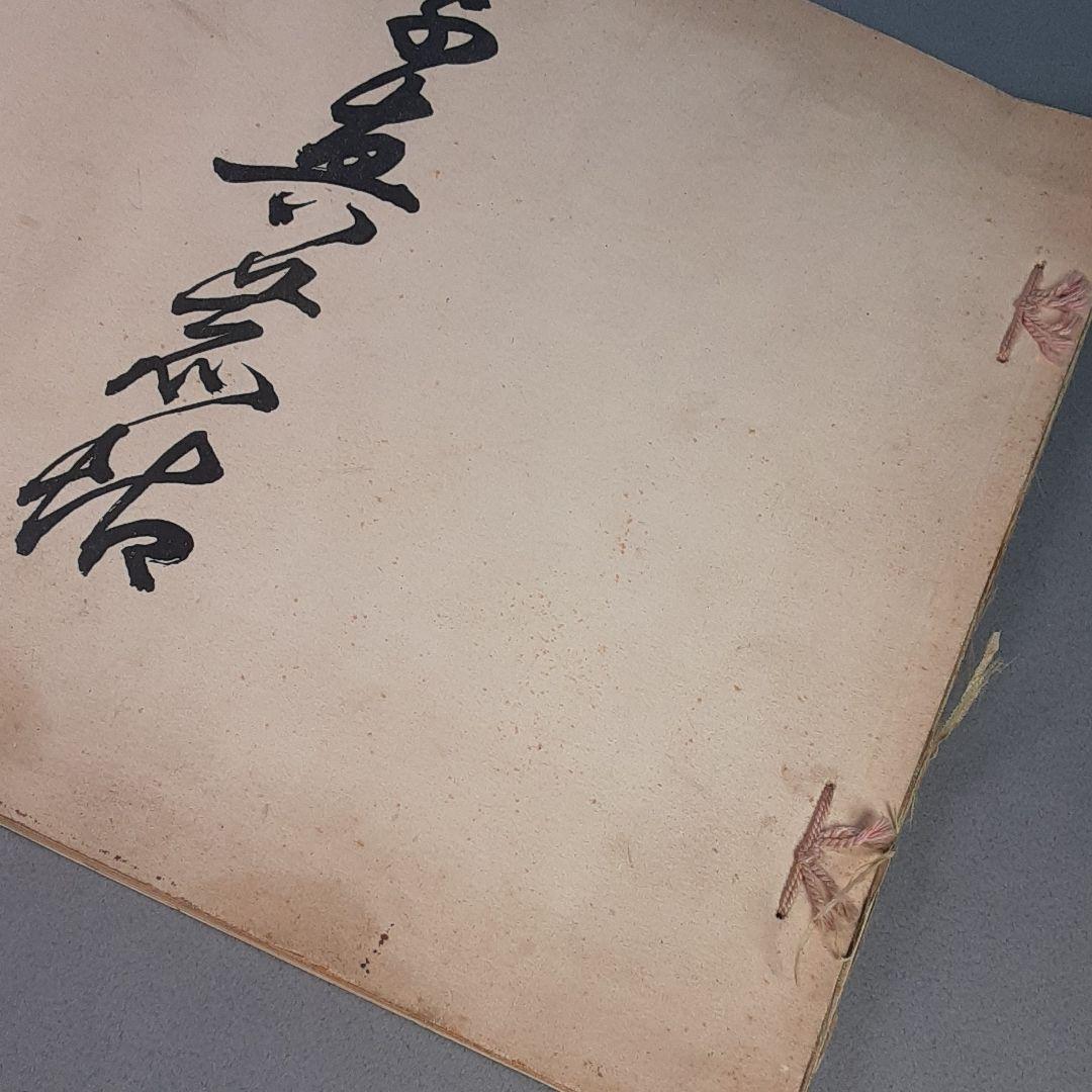 写真鹿帖..カメラ目線な122年前の鹿たちの写真集