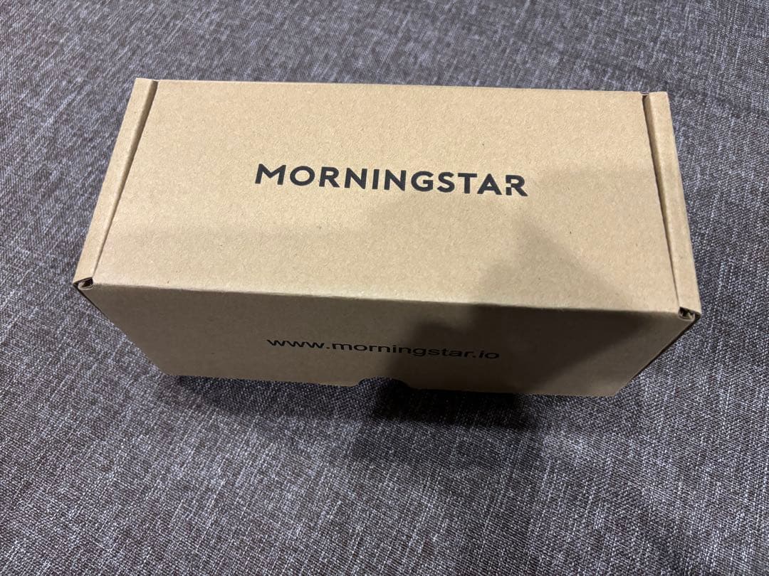 ギター Morningstar ML10X Loop Switcher