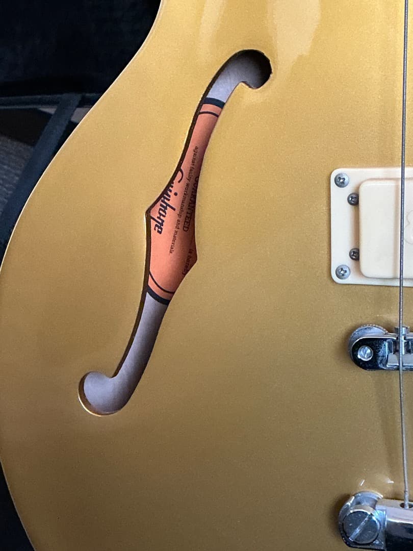 Epiphone Les Paul Signature 激レア 美品 ケース付き
