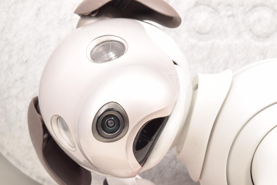 ソニー アイボ ERS-1000 アイボーン ボール AIBO 犬型 SONY