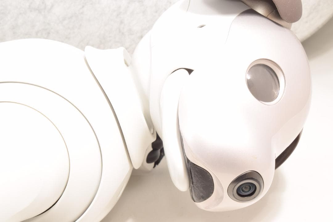 ソニー アイボ ERS-1000 アイボーン ボール AIBO 犬型 SONY