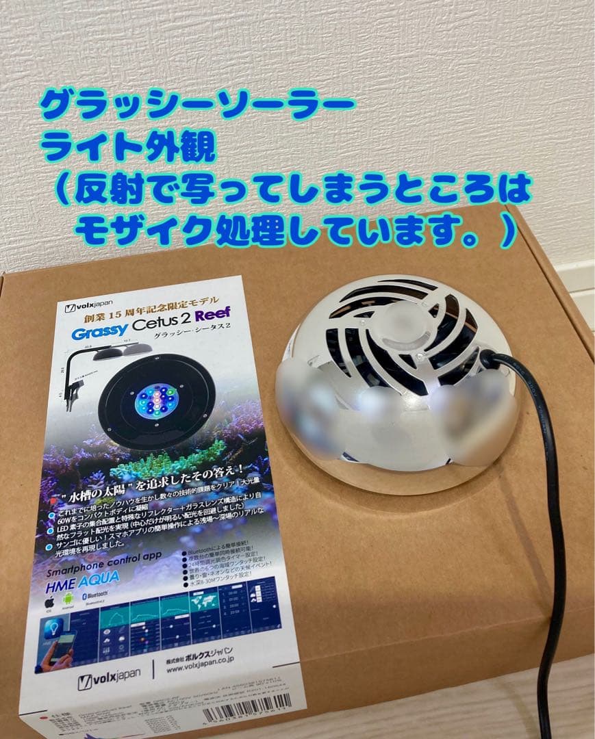 グラッシーソーラー　グラッシーシータス　ボルクスジャパン　ライト　ライトスタンド