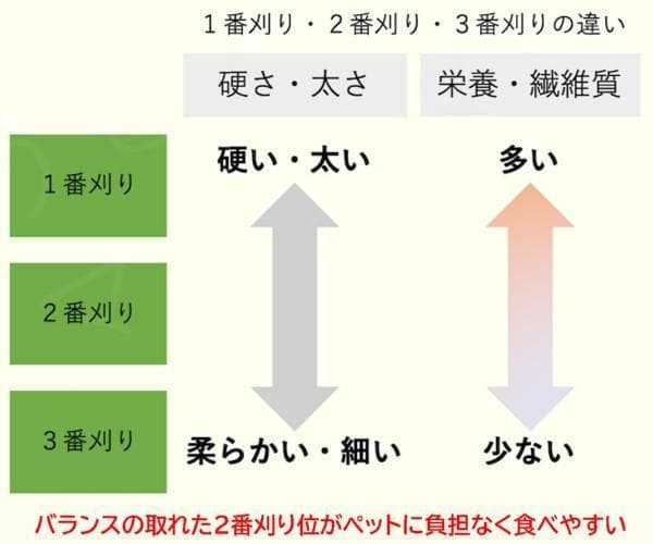 【6/15まで】US産 チモシー 50kg ２番刈 ソフトSプレミアム