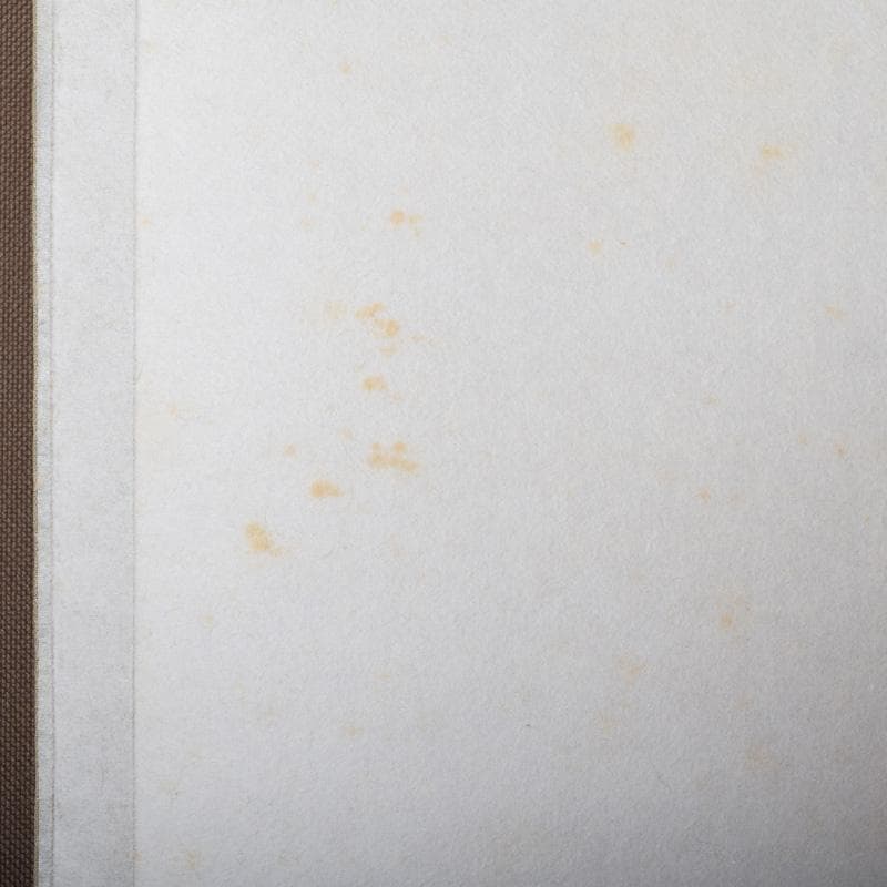 掛軸　前大徳　西垣大道筆　一行書　「東籬佳秋色」　画賛　共箱　C　7826A
