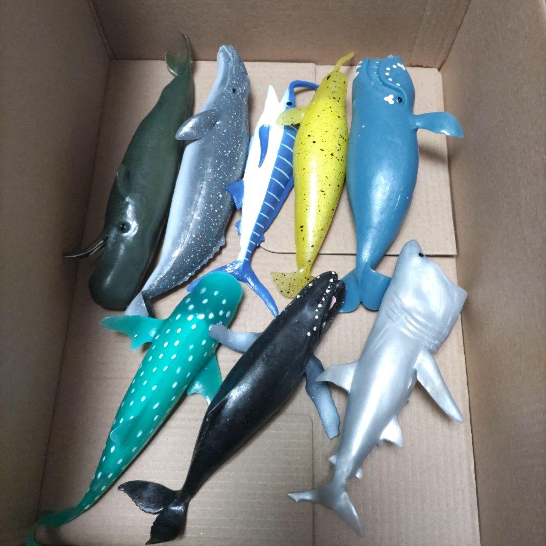くじら＆Co. まとめ売り