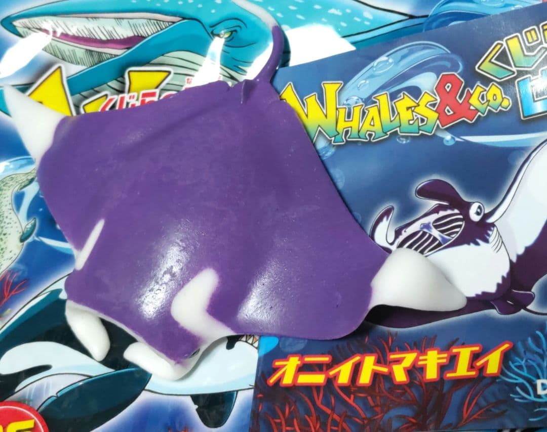 くじら＆Co. まとめ売り