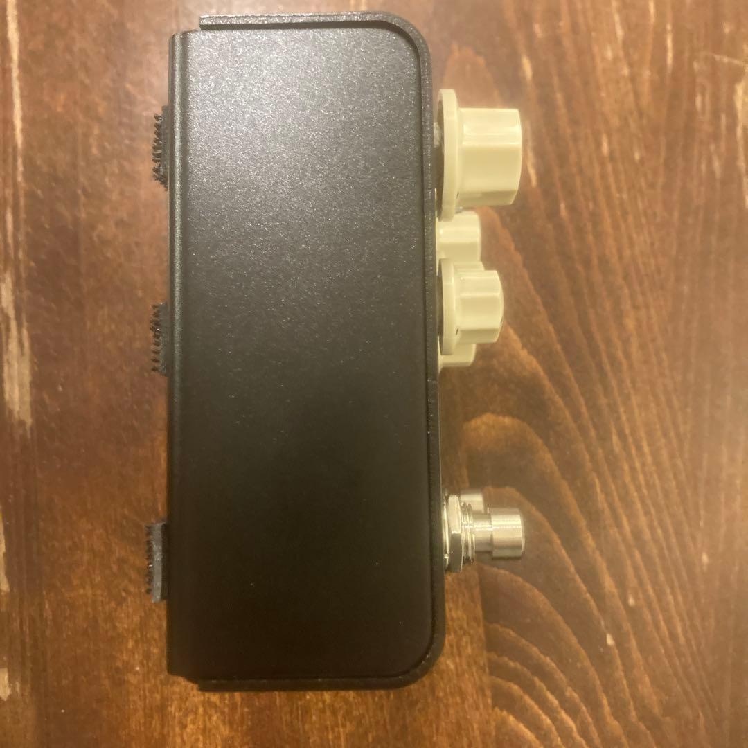 strymon FLINT V2トレモロ & リバーブ
