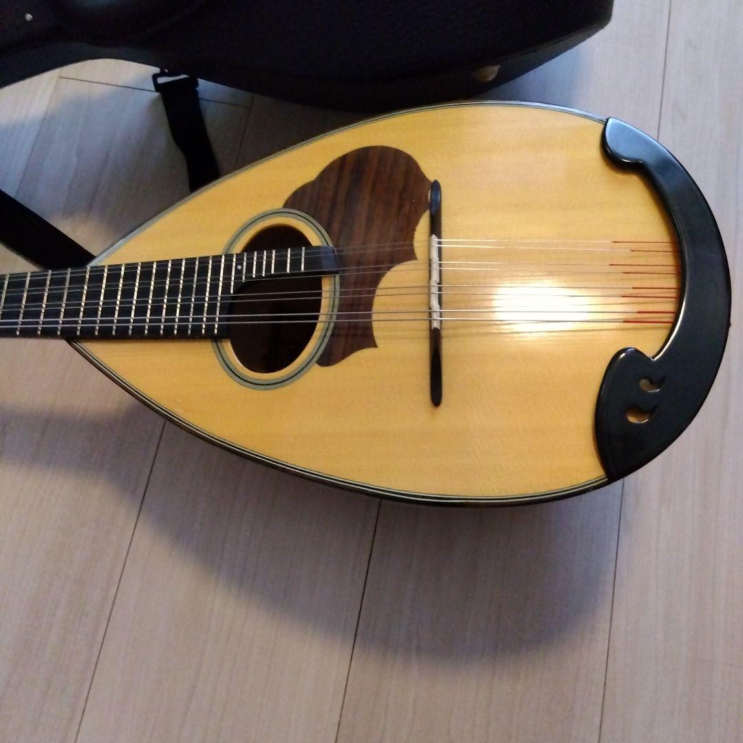 マンドリン　ケース　ピック2枚付き　SUZUKI