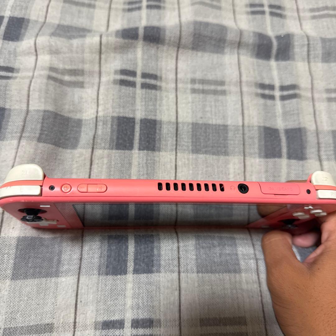 Switchライト動作確認済み