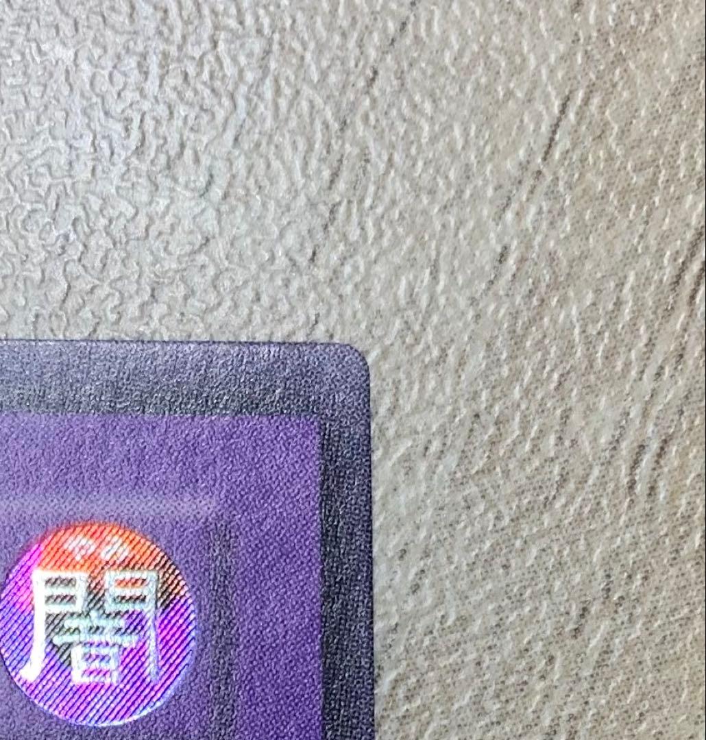 超魔導剣士ブラックパラディン レリーフ 遊戯王